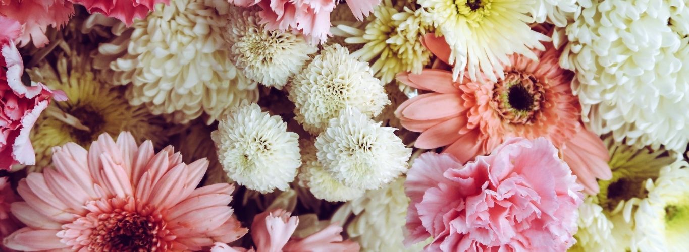 single-supplier-hero-img