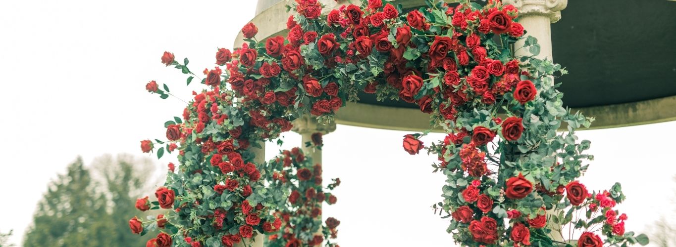 single-supplier-hero-img